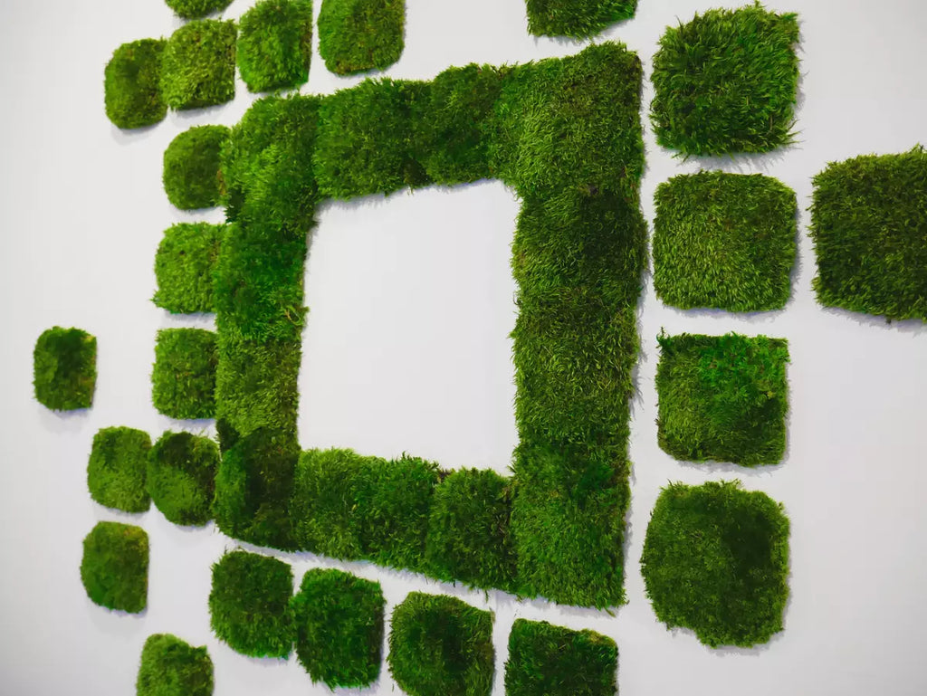 Roland Wolff GmbH rainforest moss logo