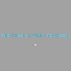 Neon Wall | Direct to wall | THE  COLD  IS  YOUR  TEACHER.