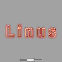 Neon Wall | Direct to wall | Linus