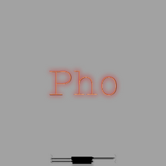 Neon Wall | Direct to wall | Pho