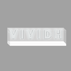 Neon Standing | Encased | VIVIDH