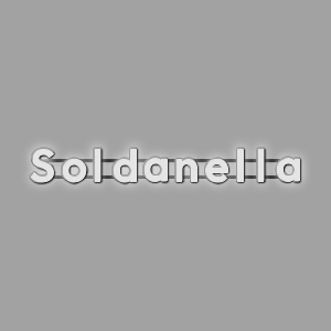 LETTER Wall | PRINT_3D | Soldanella