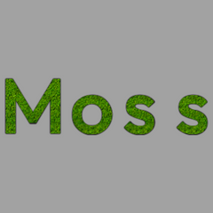 MOSS Wall | REINDEER | Moss