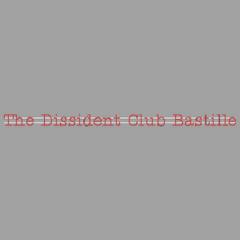LED Wall | Direct to wall | The Dissident Club Bastille