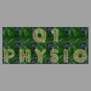 LED Wall | Mounted | Q1 Physio
